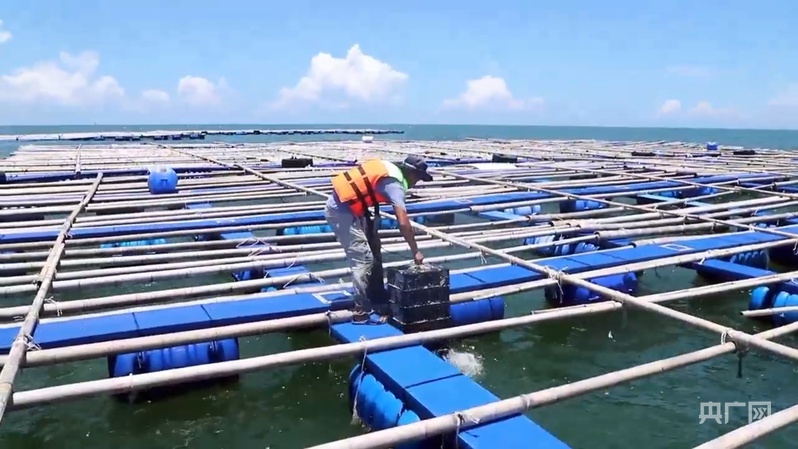 广东深远海养殖装备加快“走向深蓝”(图2)