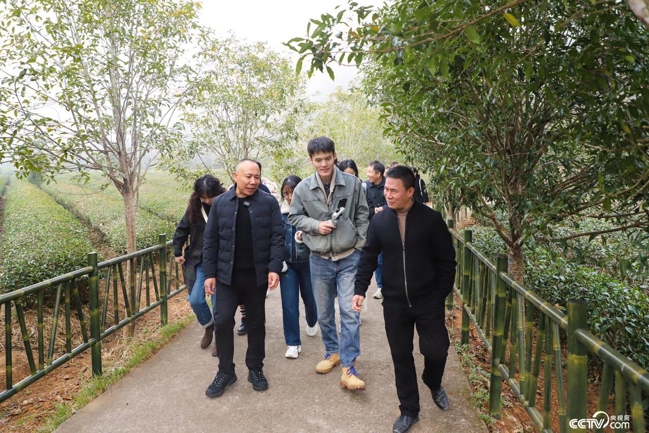 福建文明乡风建设⑥︱南平武夷山：生态好茶“泡”出文明新风(图2)