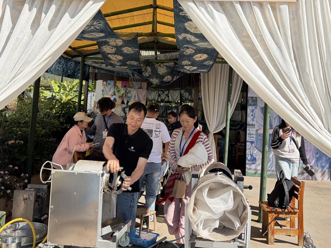 为桥 助推云贵咖啡产业双向赋能PG麻将胡