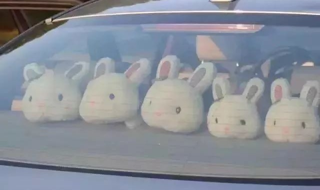 重要提醒不要在车里摆玩偶！(图2)
