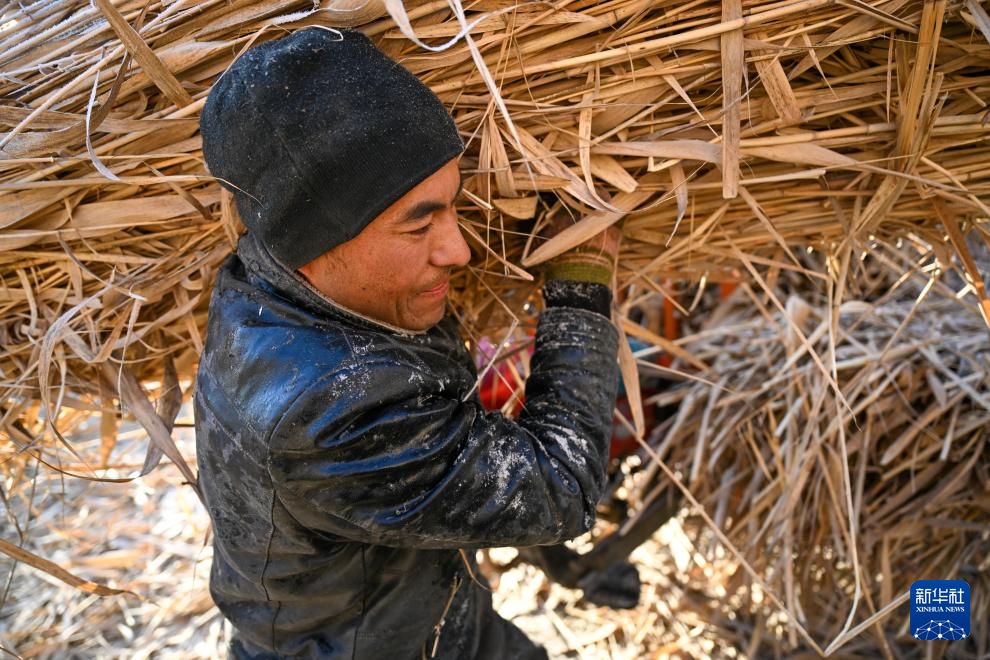 寒冬时节塔克拉玛干治沙正酣(图9)
