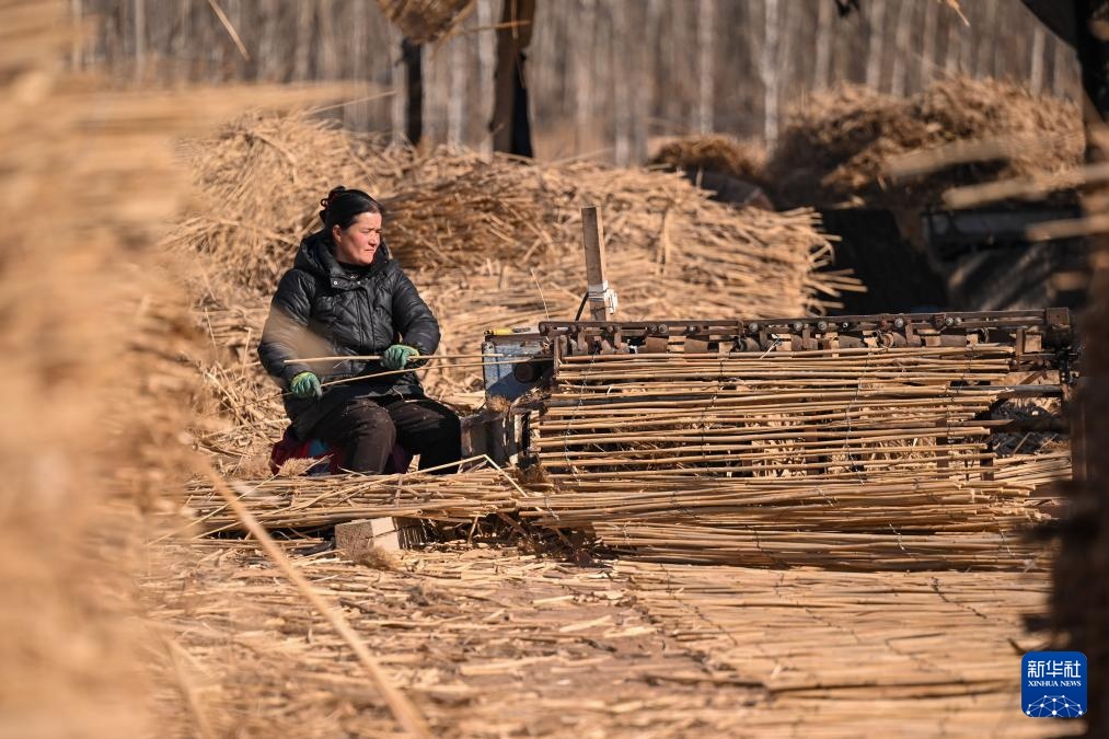寒冬时节塔克拉玛干治沙正酣(图11)