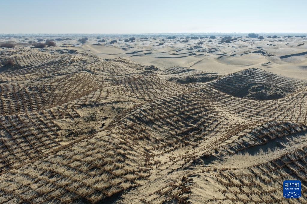 寒冬时节塔克拉玛干治沙正酣(图15)