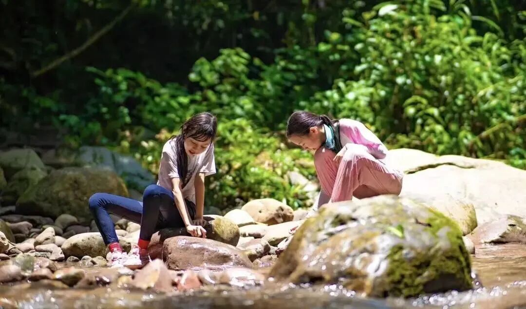 寒假去哪儿?2026抚仙湖双语冬令营开始报名5天4晚仅2880元(图7)