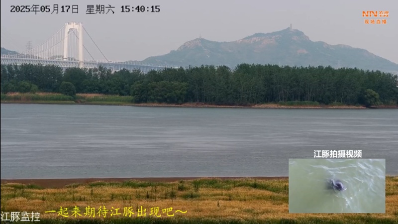 从通信塔到“生态守望塔”：江苏铁塔构建“天空地一体化”生物多样性保护新范式CQ9电子(图3)