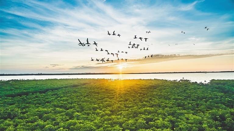 “《红色娘子军》实景演出入选全国旅游演艺精