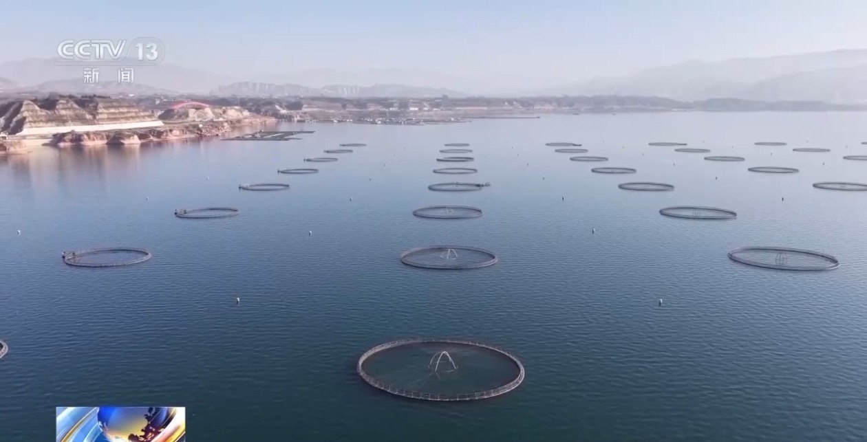 三倍体虹鳟鱼批量上市大西北何以育好冷水鱼？(图2)