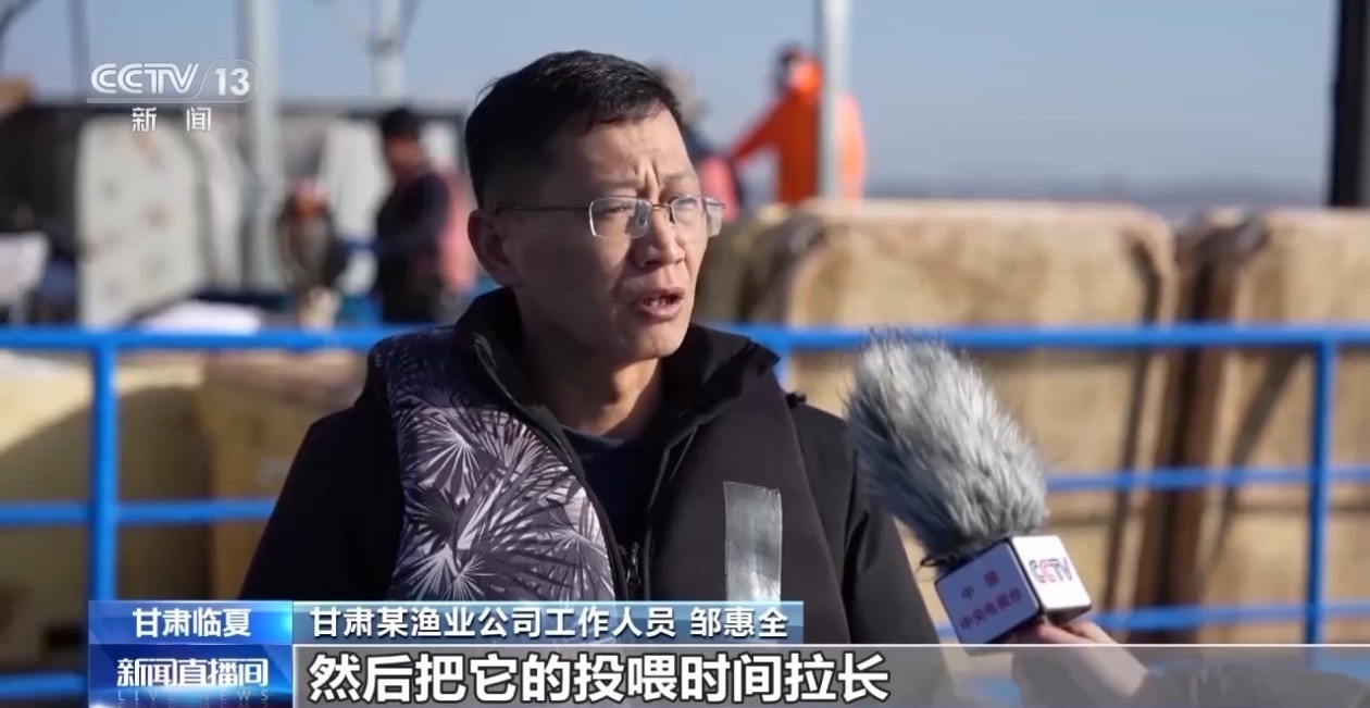 三倍体虹鳟鱼批量上市大西北何以育好冷水鱼？(图6)