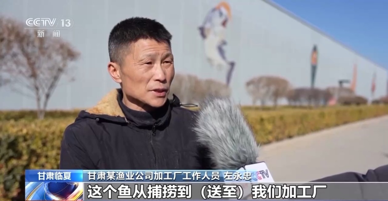 三倍体虹鳟鱼批量上市大西北何以育好冷水鱼？(图8)