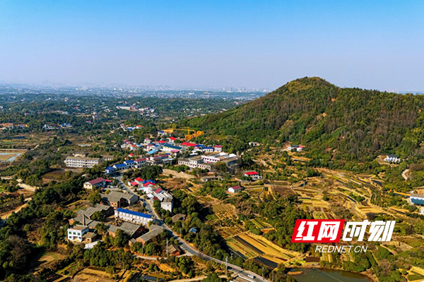 一个内陆城区的开放与升级之路(图4)