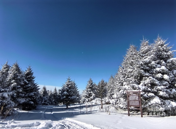 从“雪岭驯鹿”到“冰漂温泉”：年轻人扎堆延边解锁冬日“找虐”新快乐!爱体育- 爱体育官方网站- APP下载