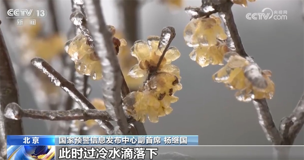 从气象数据解读2026年首场寒潮我国气象观测预报技术“向新向智”迭代升级(图7)