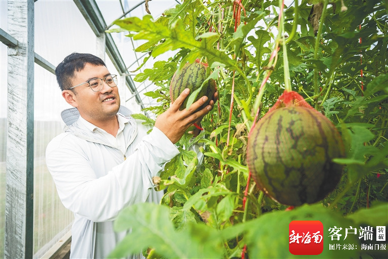 海南农垦：党建链上发力产业提质增效(图2)