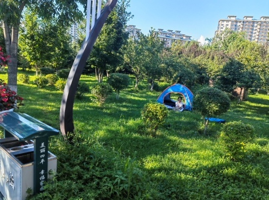 城市更新 共创美好｜ 从赏绿到享绿！让家门口的“诗与远方”触手可及