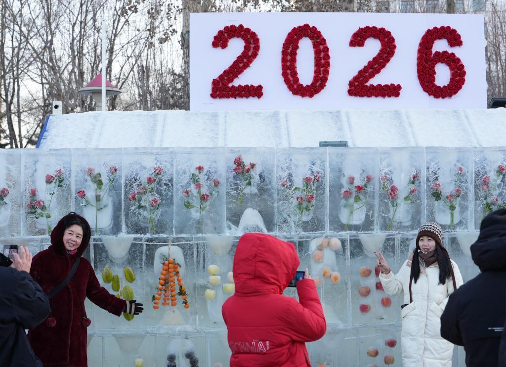 冬天外出戴帽子给身体加个“暖瓶塞”(图1)