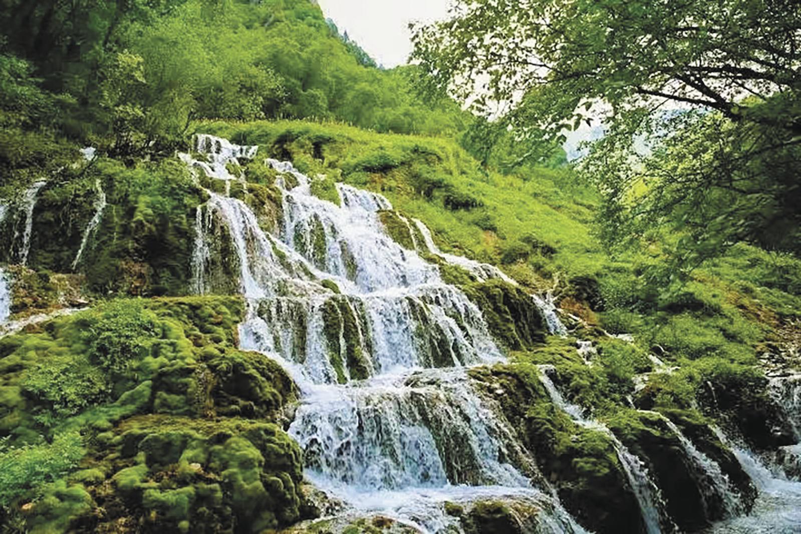 【经济聚焦】从资源到产业：互助康养经济的破局之道(图4)