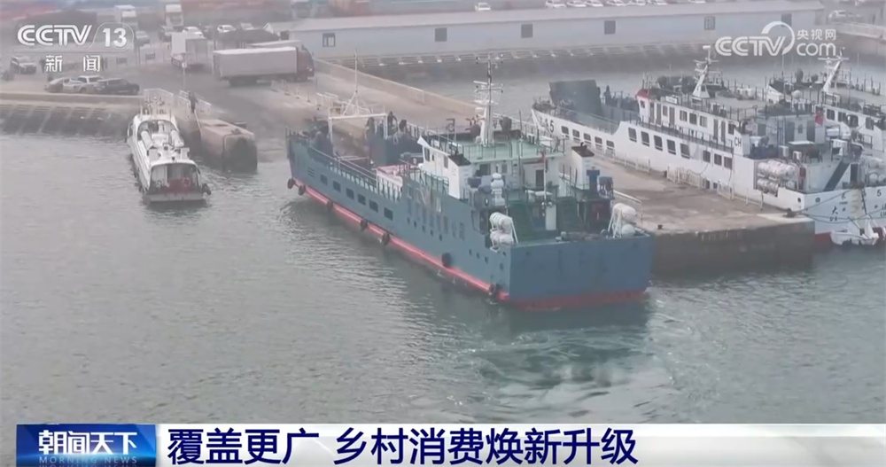 政策焕新让百姓“年货篮子”添新品消费涌热潮促“乡村市场+家电服务”升级(图5)