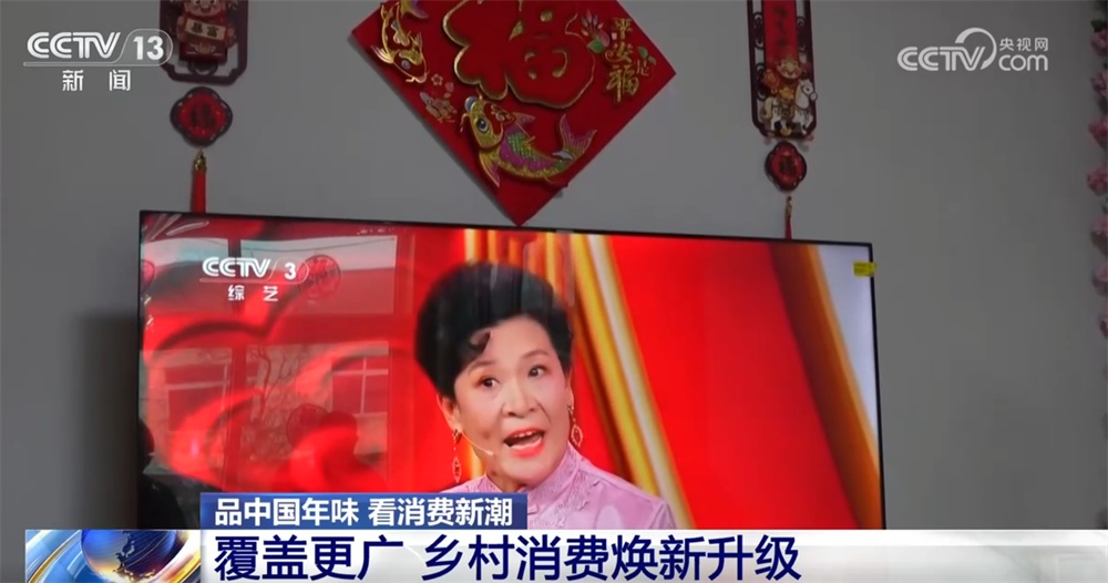 政策焕新让百姓“年货篮子”添新品消费涌热潮促“乡村市场+家电服务”升级(图6)