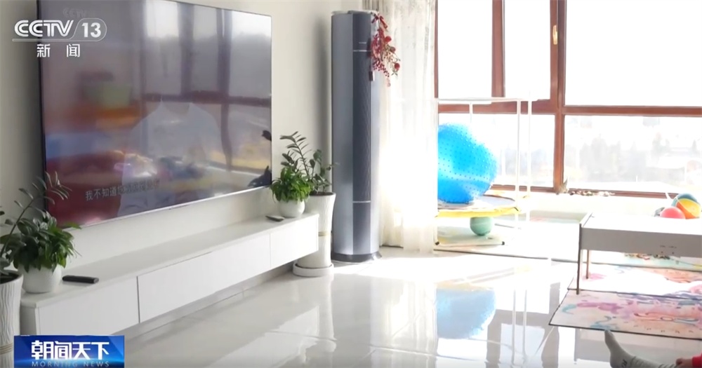 政策焕新让百姓“年货篮子”添新品消费涌热潮促“乡村市场+家电服务”升级(图8)