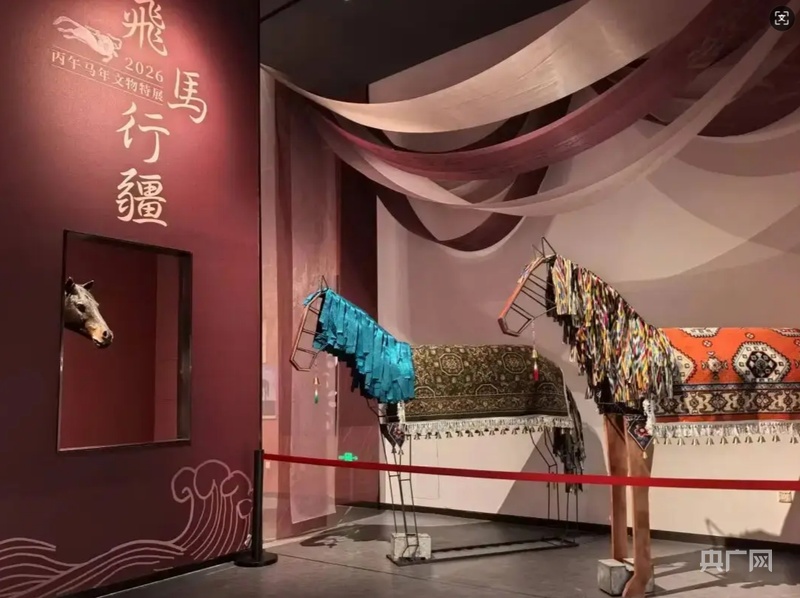 “新”年亚克西丨新疆：文化赋能贺岁潮 千场活动贺岁忙(图4)