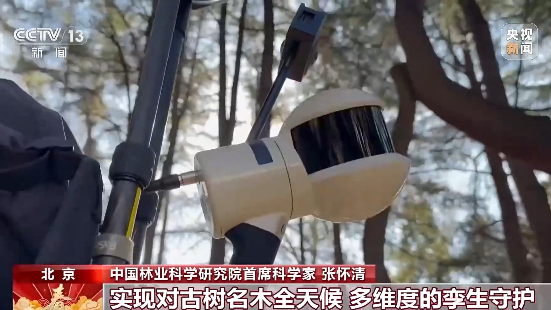 挂牌保护、智能监测 古树名木在数智化时代焕发新生(图3)