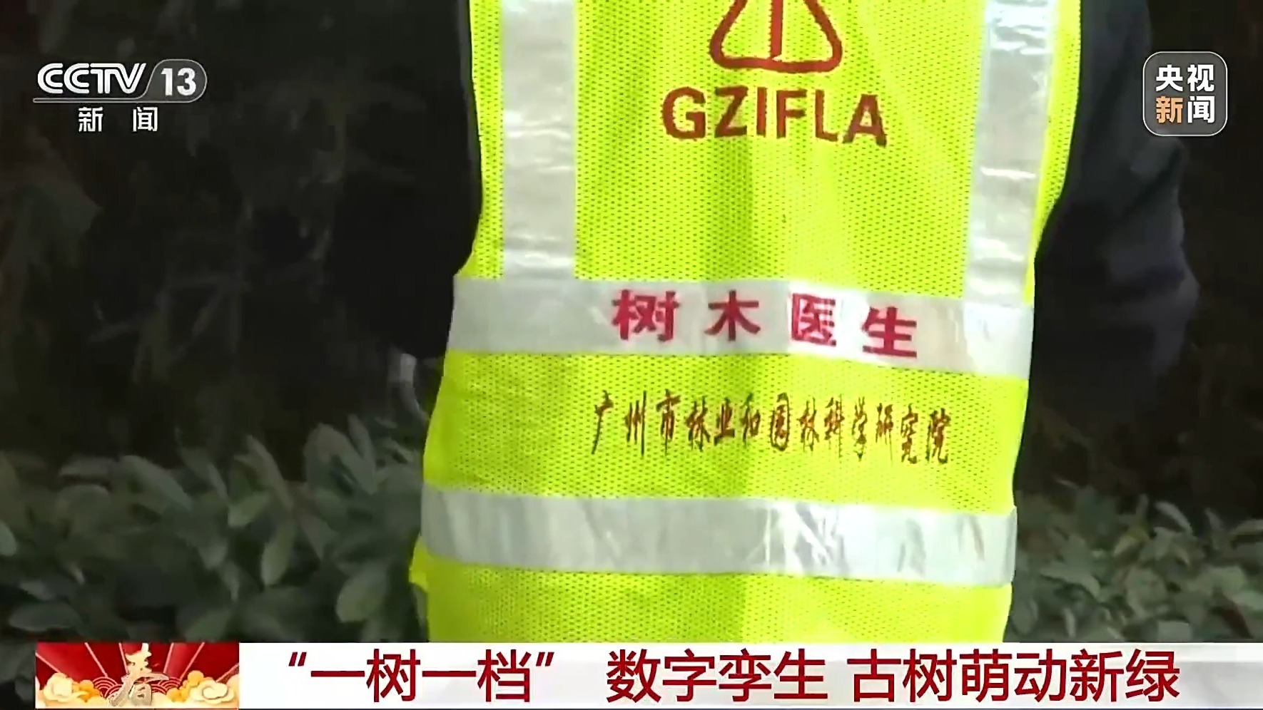 挂牌保护、智能监测 古树名木在数智化时代焕发新生(图4)