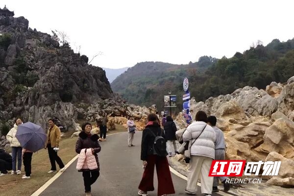 双牌文旅实现新春开门红接待量与收入双增长(图1)