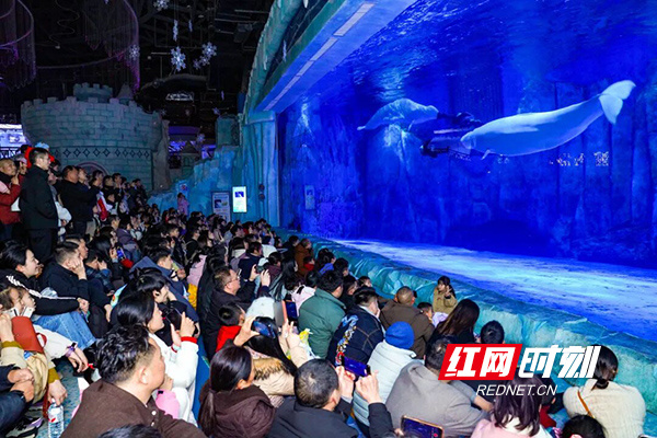 湘江新区“春”意浓：文旅商圈“热”力足消费市场跑出加速度(图1)