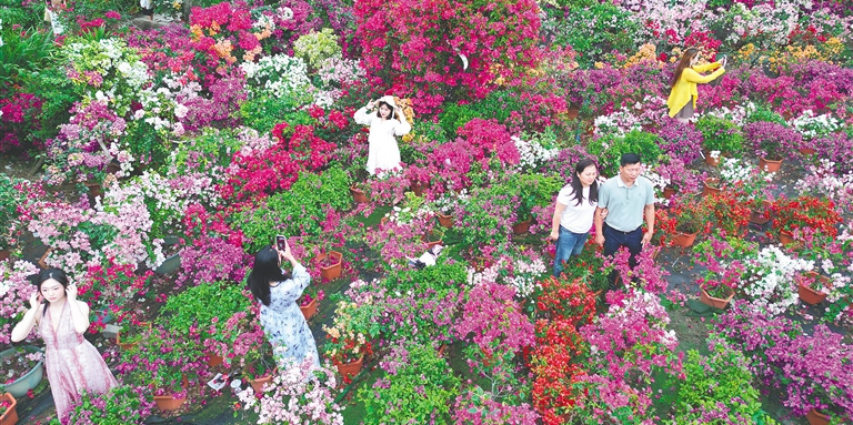 以消费新意延续火热势头天涯时评(图1)