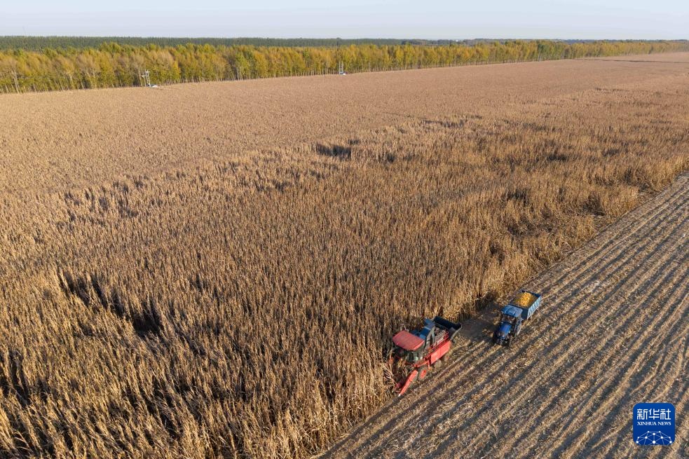 镜观中国丨影像回眸“十四五”——全面深化改革扩大高水平开放(图9)