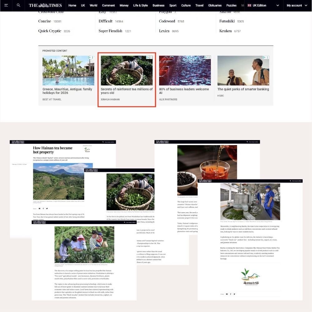 琼岛“年味”香飘四海海外网友云端“尝鲜”(图2)