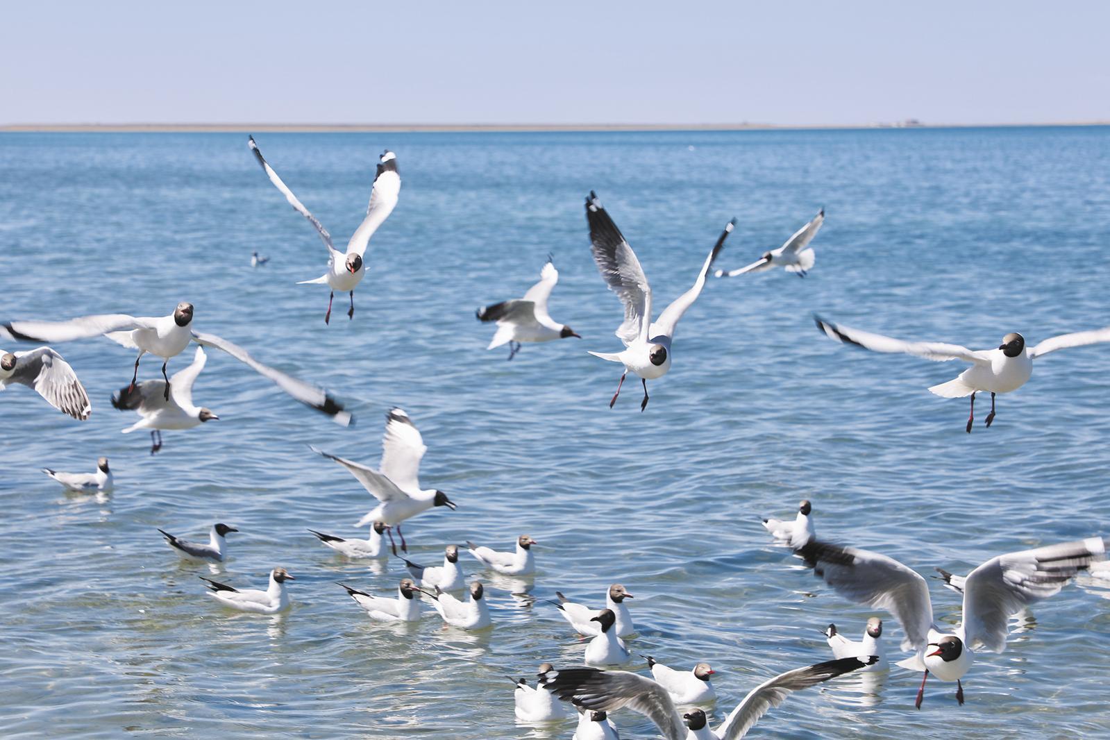 【两会熊猫体育智能股份特刊·今日关注】厚植生态底色筑牢生态屏障
