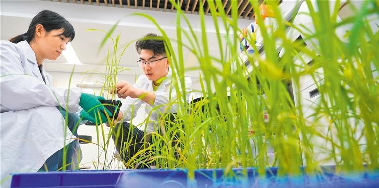 九游官方app入口国内_新闻频道(图2)