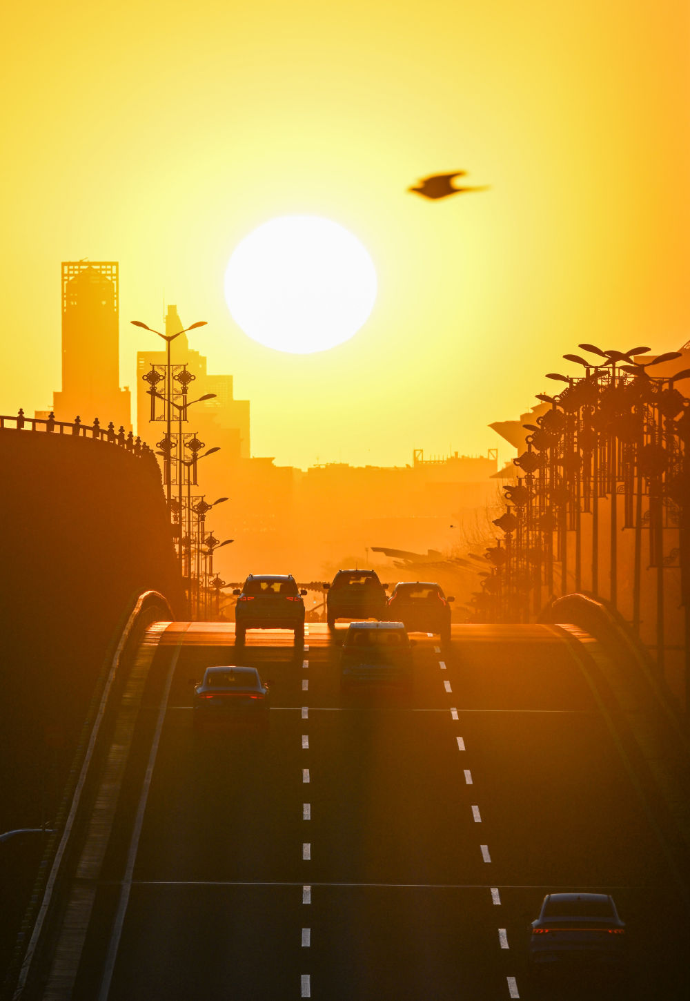 春分节气将先罕见悬日景观！一文教你拍出大片感(图2)