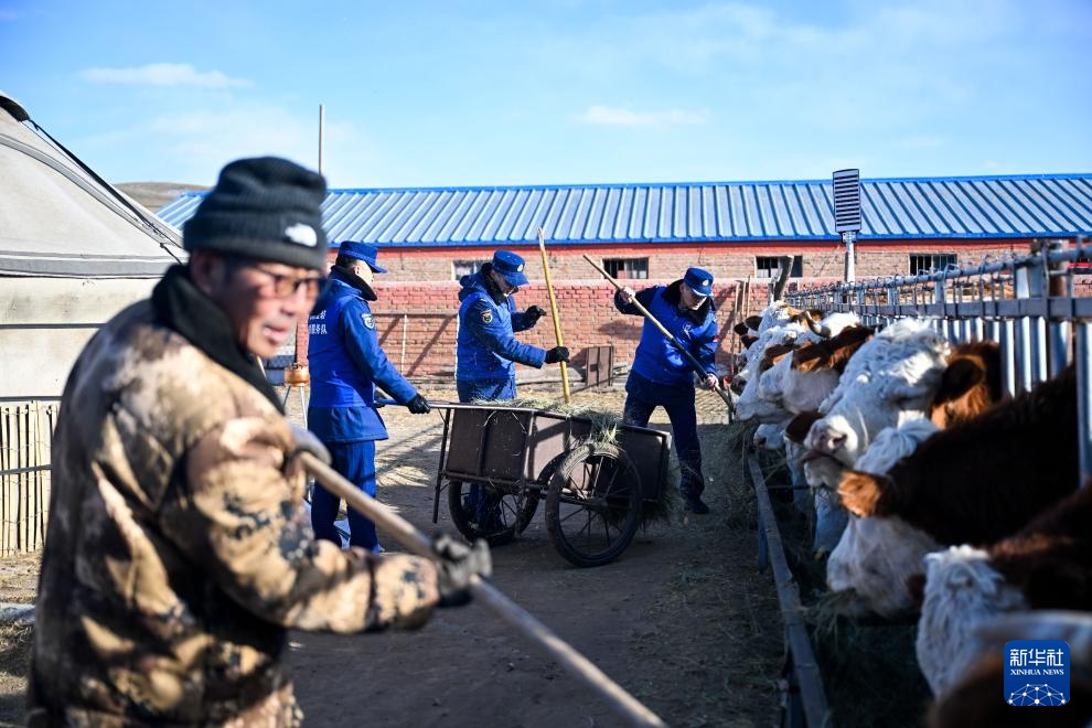 草原上的“火焰蓝”(图8)