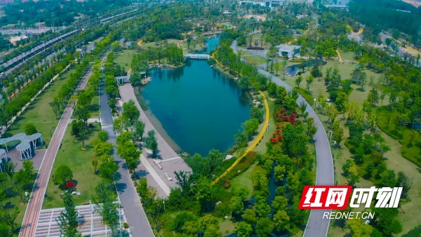 在长沙“边角料”都在宠你(图5)