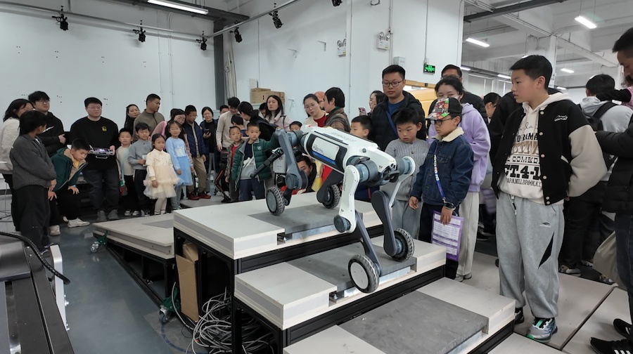 南京理工大学举办二月兰和平文化节校园开放日活动(图3)