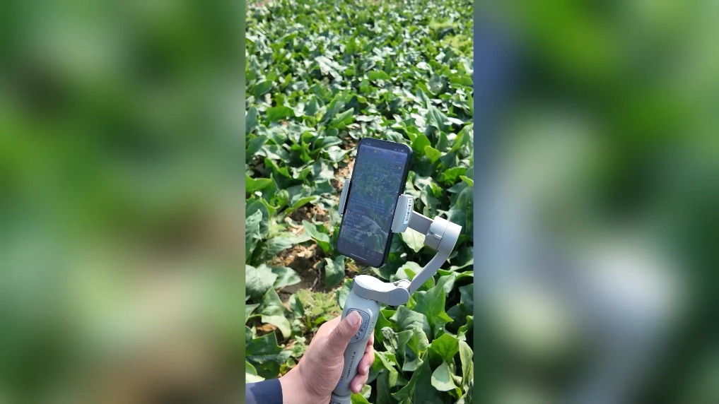 春耕新力量丨“乡村主播”“播”出乡村好光景(图3)