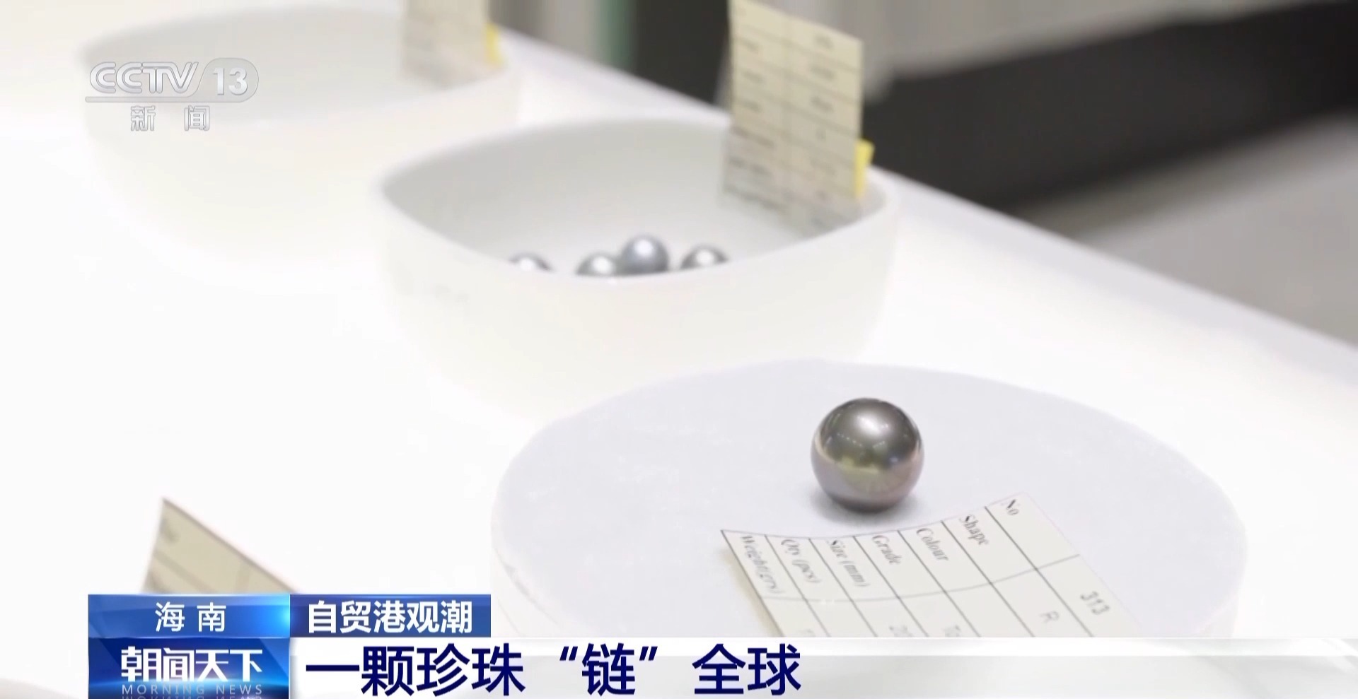 央媒看海南 探寻一颗珍珠的“海南之旅”(图7)