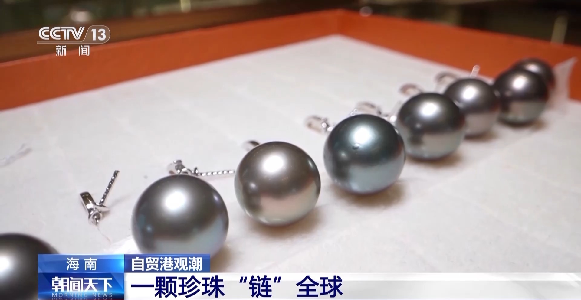 央媒看海南 探寻一颗珍珠的“海南之旅”(图8)