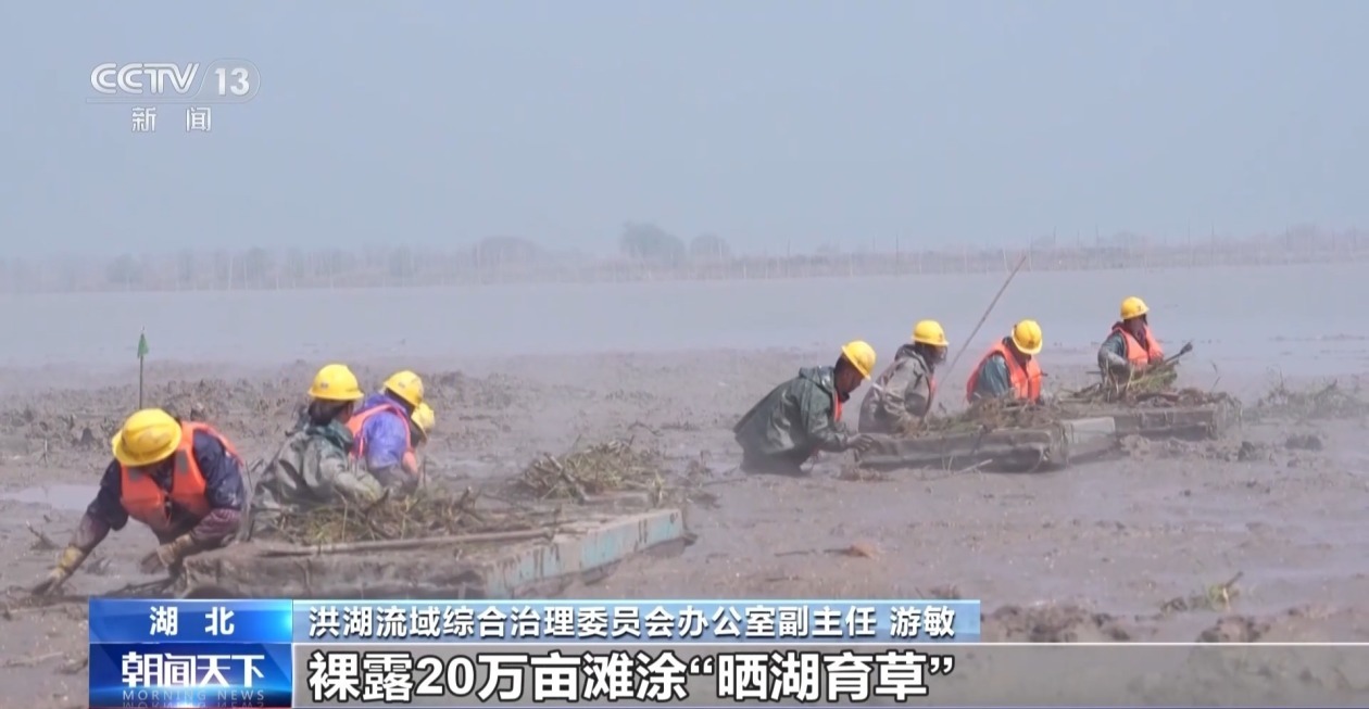修复河口、恢复植被 湖北洪湖加快水系治理改善生态(图2)
