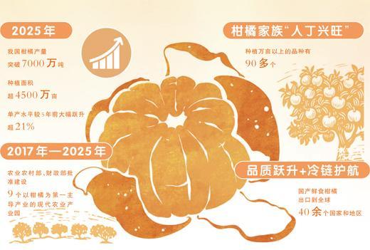 一树橘香飘四海(三餐四季)——中国柑橘家族跨越四季的“舌尖奇旅”(图1)
