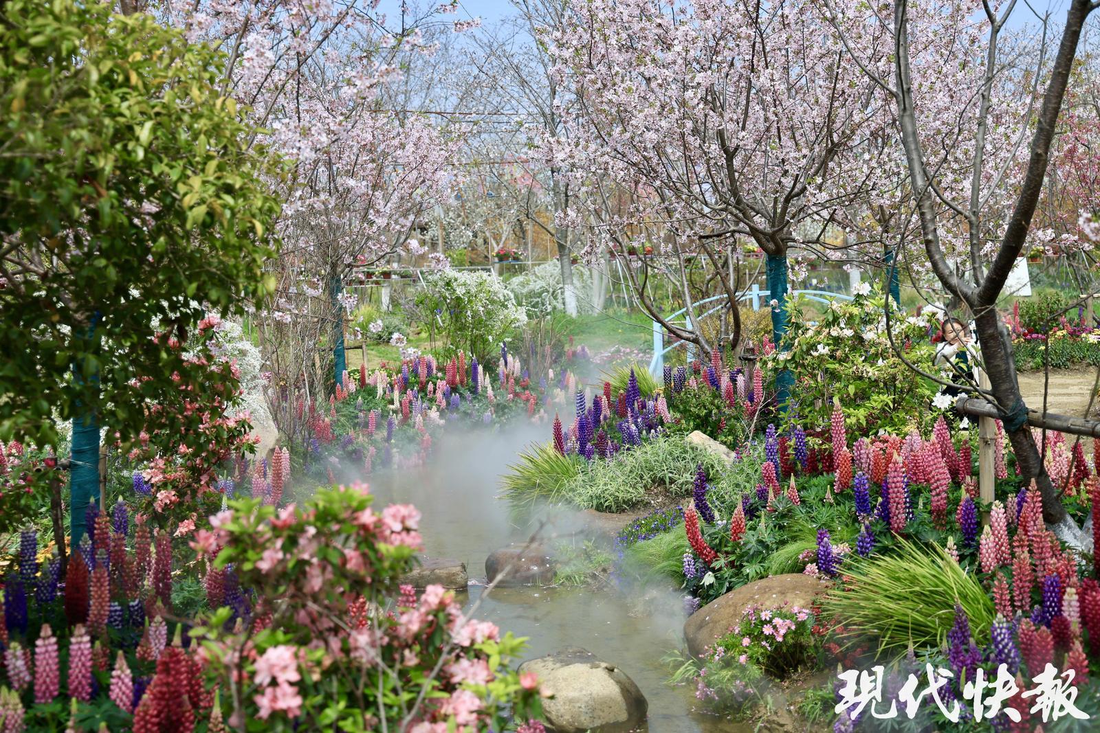2026全国地方媒体总编辑看无锡｜园脉寻花境这座花星球绘就农文旅融合新图景(图1)