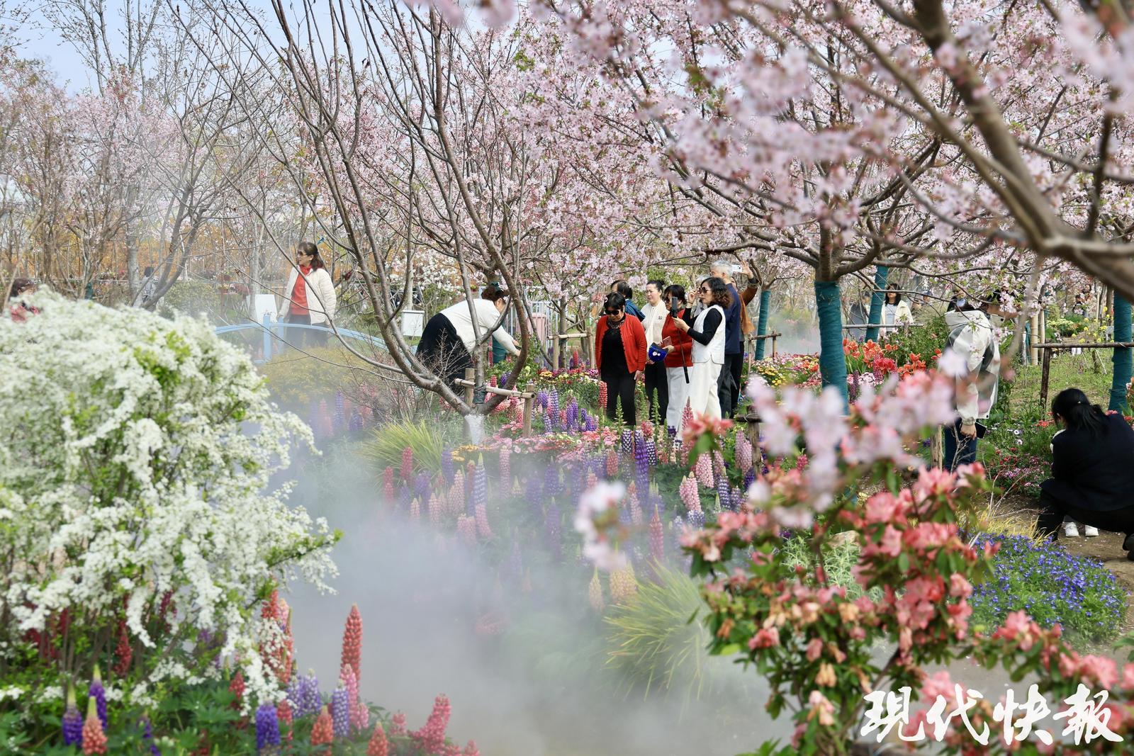 2026全国地方媒体总编辑看无锡｜园脉寻花境这座花星球绘就农文旅融合新图景(图2)