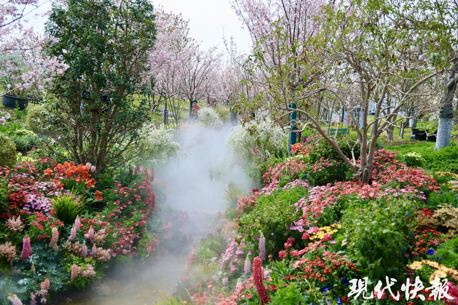 2026全国地方媒体总编辑看无锡｜园脉寻花境这座花星球绘就农文旅融合新图景(图3)