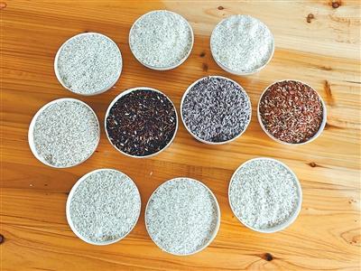 浙江婺城科技小院研发功能性稻米——“这种米不愁卖亩产值超万元”（春耕里的新质生产力）(图2)