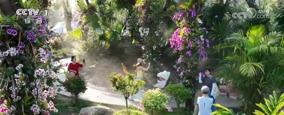 一杯咖啡幸福一方百姓！“新岛民”开启新生活海南自贸港活力涌动(图1)