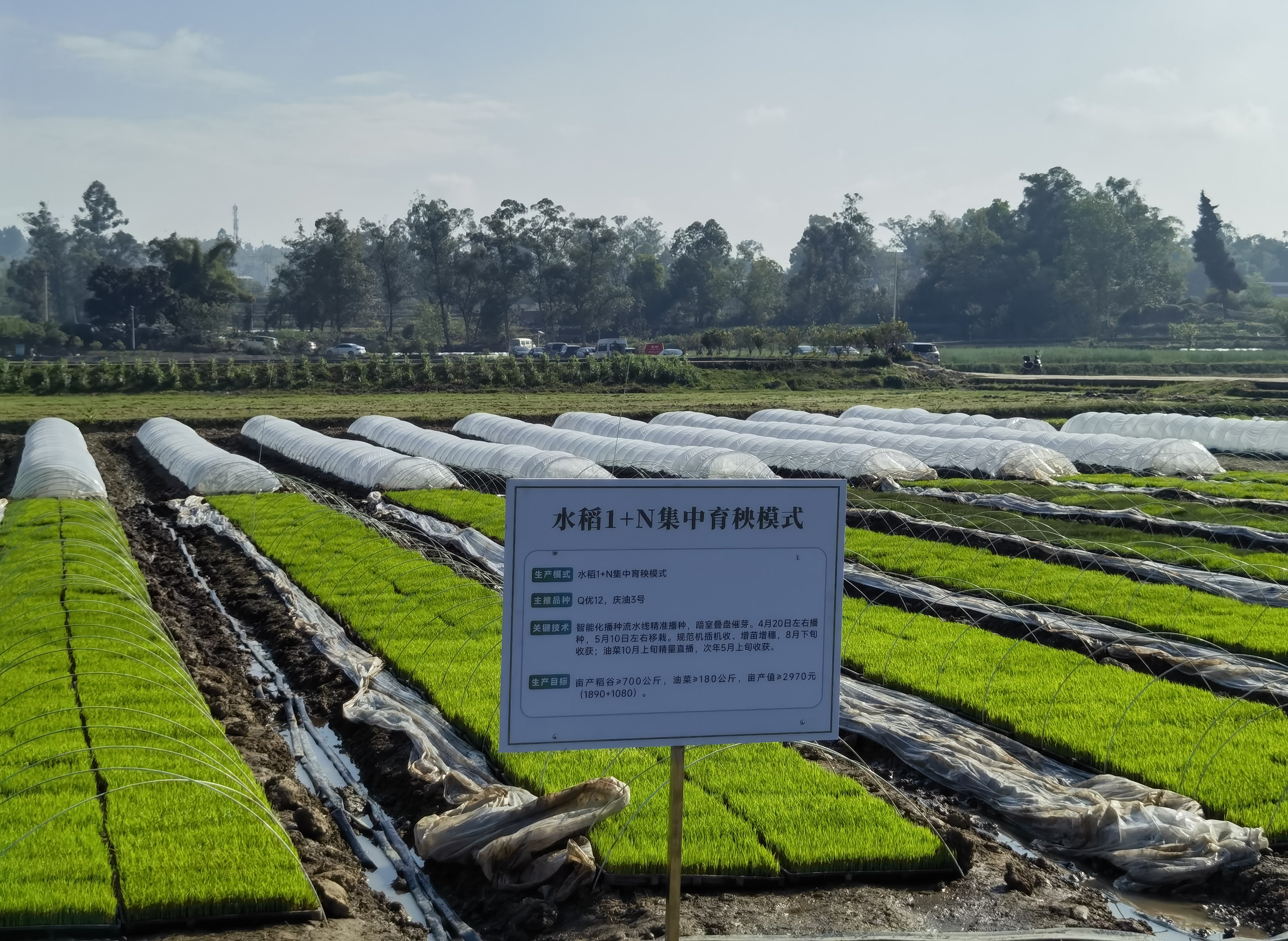 巴渝春来早 田间“链”新景——2026年重庆市春季农业生产暨推动农合联高质量发展工作会议侧记(图1)
