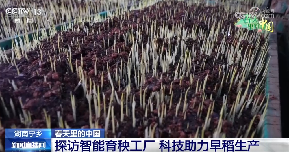 科技加持让春耕春管奏响“交响曲”现代农业向新向优为好“丰”景筑牢根基(图1)