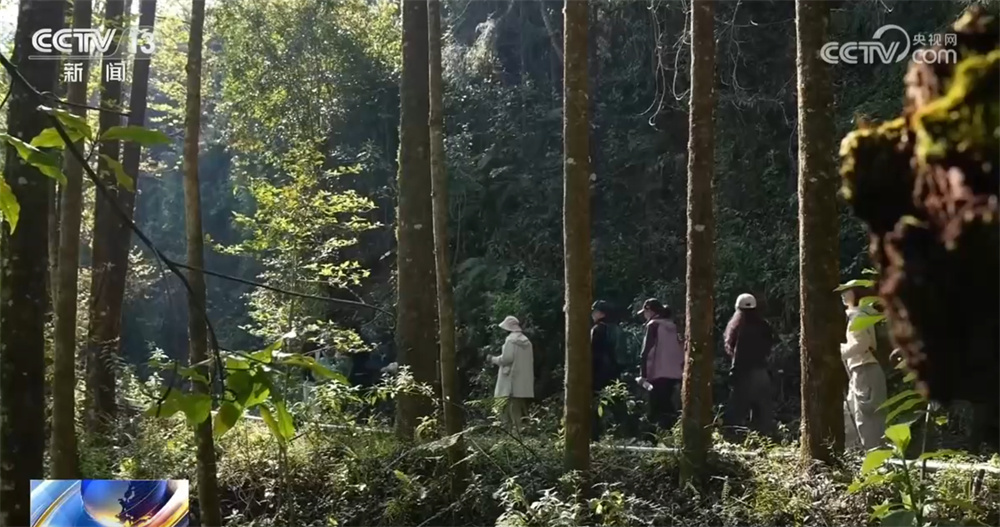 九游官网入口：各类创新玩法“解锁”户外“新体验+新风潮” 带动户外用品焕新迭代加速热销(图1)